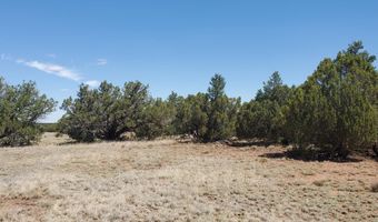 17 County Road 8077, Concho, AZ 85924