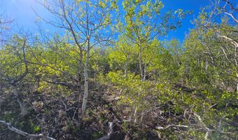 NHN Alpha Lode & Alpha Fraction Lode Alpha Trail, Anaconda, MT 59711