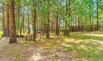191 Bear Wallow Rd, Cascade, ID 83611