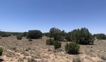 110 Mesa Redondo Ranch Rd, Concho, AZ 85924