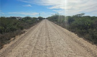 20 County Road 1431 Lot 20, Alice, TX 78384