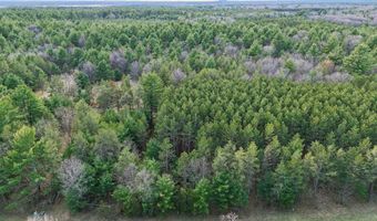 1639 20th Ave, Arkdale, WI 54613