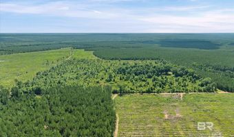 Green Town Road, Bay Minette, AL 36507