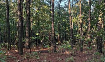 greenwood road, Antlers, OK 74523