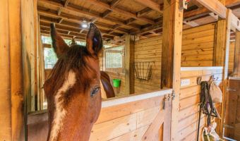 560 N LAKE PLEASANT Rd, Apopka, FL 32712