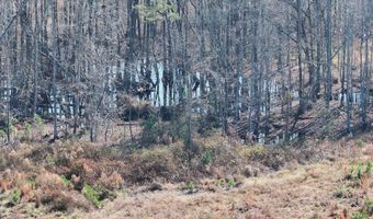 Midway Street, Bamberg, SC 29003