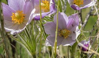 Tbd Crazy Horse Basin, Boulder, MT 59632