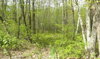 Lot 35 Bennett Road, Alfred, ME 04002