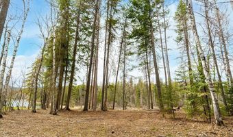 518 Eastman Dr, Bigfork, MT 59911