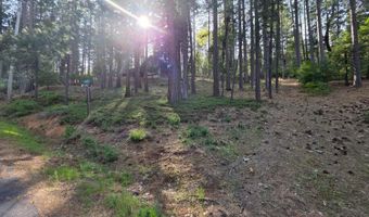 2904 Venado Dr, Arnold, CA 95223