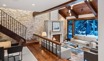 1345 Mayflower Ct, Aspen, CO 81611