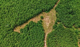 Harry Priddy Road, Americus, GA 31719