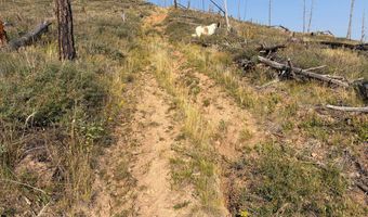 Pine Acres Rd, Bellvue, CO 80512