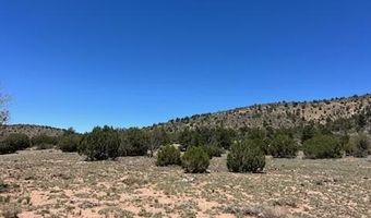 307 Off Of Old Deputy Shortline, Ash Fork, AZ 86320