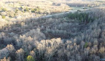 6777 Hwy 207, Anderson, AL 35610