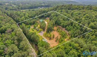 1228 Matt Morrow Rd, Arab, AL 35016