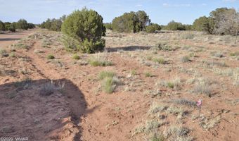 176 CR N5549, Concho, AZ 85924