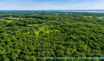 58 Acres Naples Ln, Arab, AL 35016