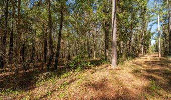 Tbd N COUNTY RD 1491, Alachua, FL 32615