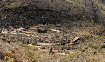 00 Cuddy Mountain Mineral Land, Cambridge, ID 83610