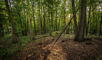 945 Rose Dr, Ann Arbor, MI 48103