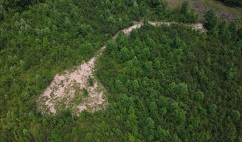 Tucker Road lot 13, Bath Springs, TN 38311