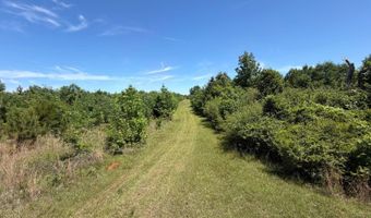 County Road 38, Autaugaville, AL 36003