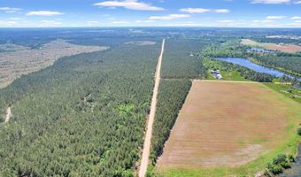 Tract 2 Ocelot, Alma, GA 31510