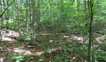 Wendy Drive lot 134-135, Alton, NH 03810