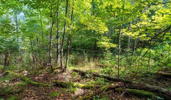 Double Bend Road, Argonne, WI 54511