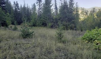 18 Majestic Mountain Rd, Clark Fork, ID 83811