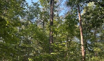 Lot 2B Gidsville Road, Amherst, VA 24521