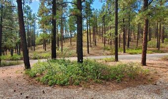 282 Pine Ln, Bayfield, CO 81122