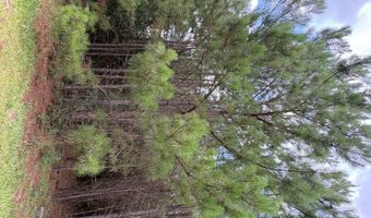 Sapling Rd, Barnwell, SC 29812