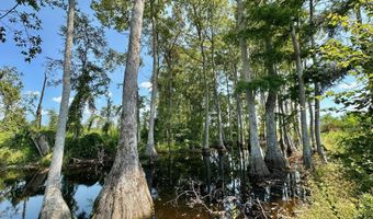 Ms-25, Brandon, MS 39047