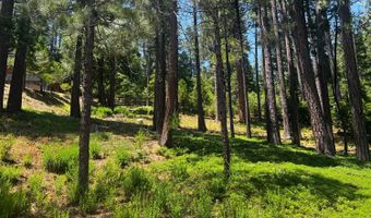 2904 Venado Dr, Arnold, CA 95223