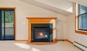 6639 Reams Rd, Alanson, MI 49706