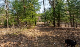 Dover Drive lot 2 +/-43 Ac, Adams, WI 53910