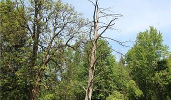 136 Knapp St, Albion, NY 14411