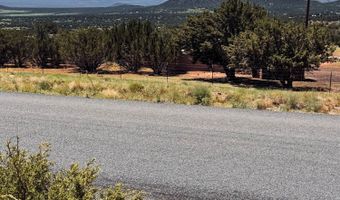 79 Co Rd, Concho, AZ 85924