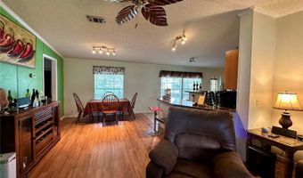 56233 WATER OAK Rd, Astor, FL 32102