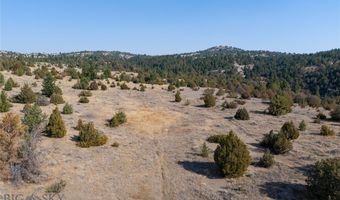 NHN Trails End Drive, Anaconda, MT 59711