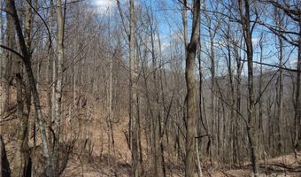 Gentry Farm Road, Aurora, NC 28743