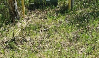 40 AC Werth Rd, Alpena, MI 49707