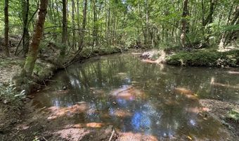 SW Auburn Drive, Bogue Chitto, MS 39629