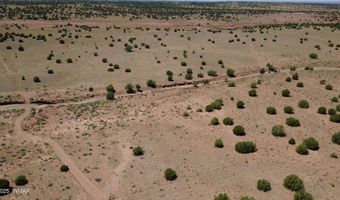 Tbd Ranch of the White Mountains, Concho, AZ 85924
