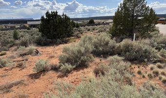 1152 E Red Sage Ln, Apple Valley, UT 84737