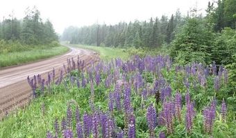 TBD W Shipley Rd, Alborn, MN 55702