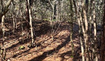 Chief Rd, Abbeville, AL 36310