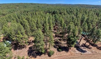 79 Spruce Way, Bayfield, CO 81122
